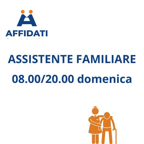 ASSISTENTE FAMILIARE 08.00/20.00 Festivi